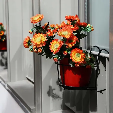 House Petit Lusa Gæstehus