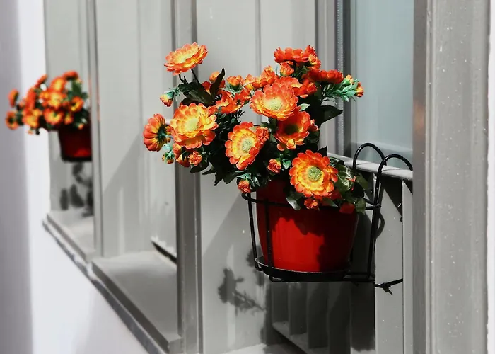 House Petit Lusa Affittacamere